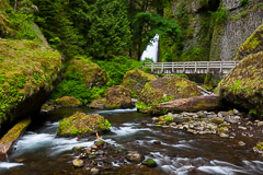 Oregon-Washington-Canadian Rockies