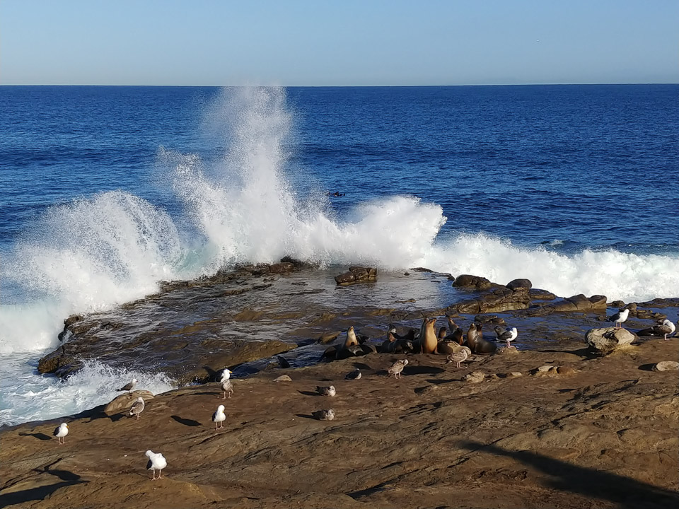 La Jolla Cove, CA