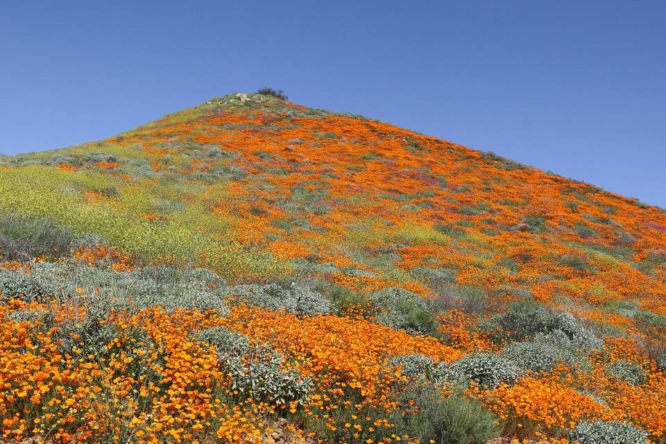 Walker Canyon