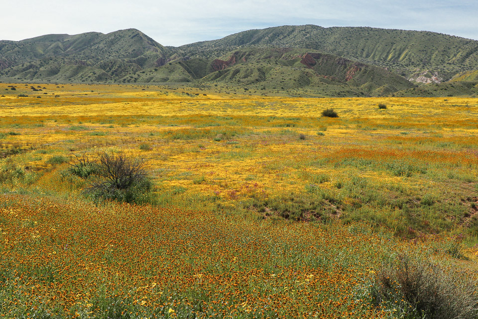 Carrizo Plain National Monument