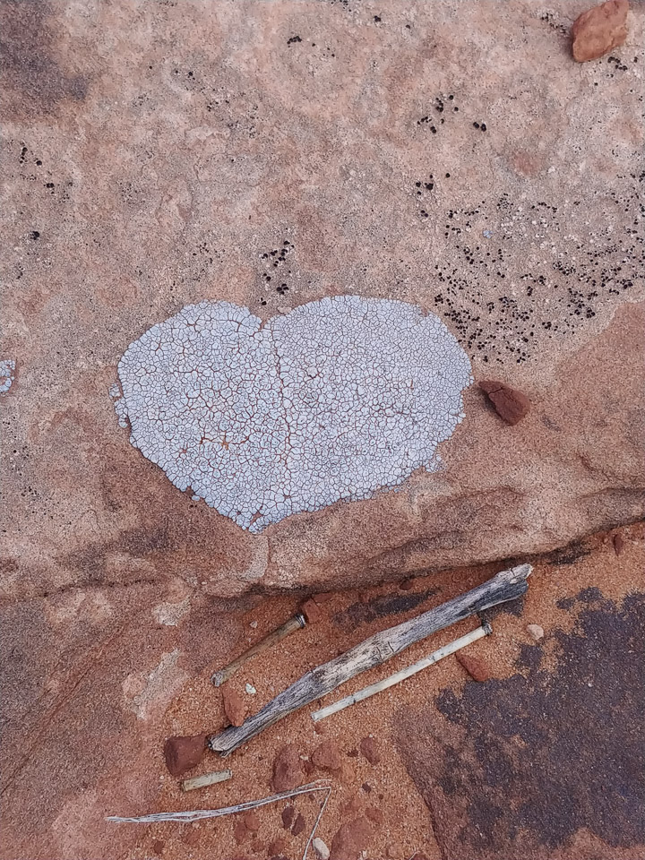 On the Park Avenue Trail - Arches National Park