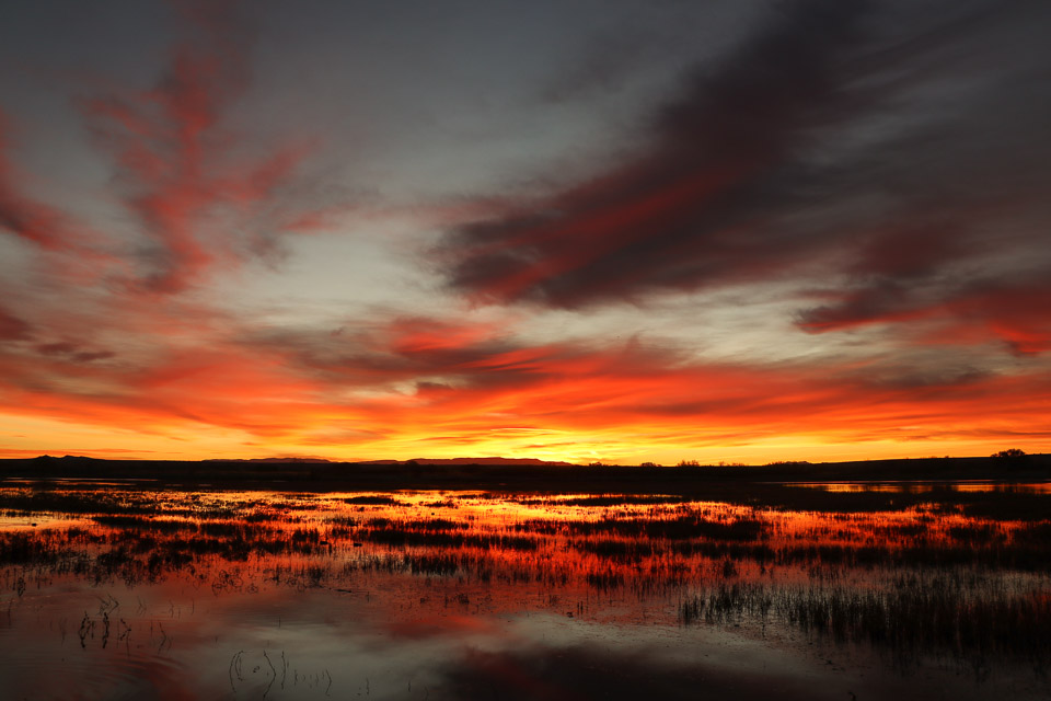 Sunrise, Bosque Del Apache National Wildlife Refuge – NM