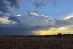 Rainstorm - Tarangire NP, Tanzania