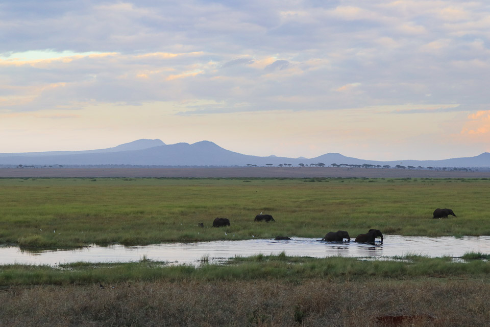 Tarangire NP, Tanzania