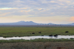 Tarangire NP, Tanzania