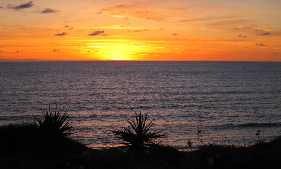 Sunset - Torrey Pines State Reserve, CA