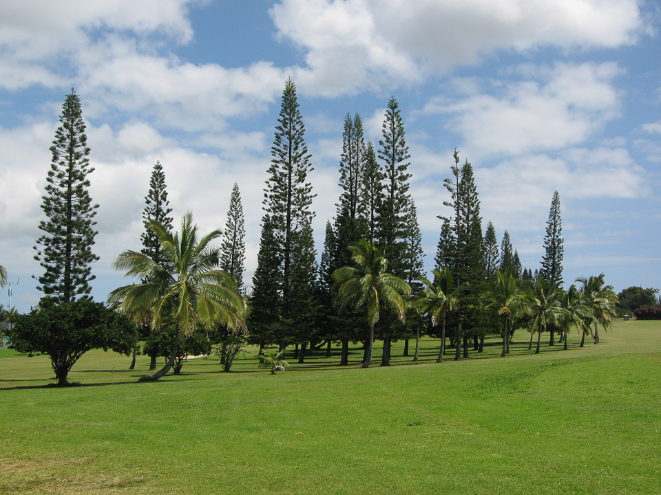 Hawaii