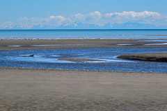 Coastal View of Cook Inlet - Lake Clark NP, AK