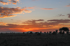 Sunset - Serengeti NP, Tanzania