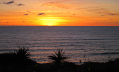 Image Gallery