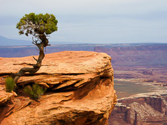 Canyonlands, UT