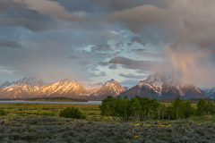 Grand Teton NP with WIllow Flats