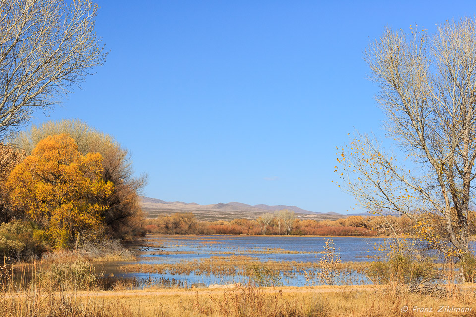 Bosque Del Apache National Wildlife Refuge – NM