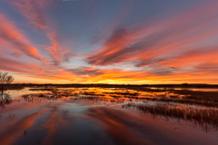Sunrise, Bosque Del Apache National Wildlife Refuge – NM