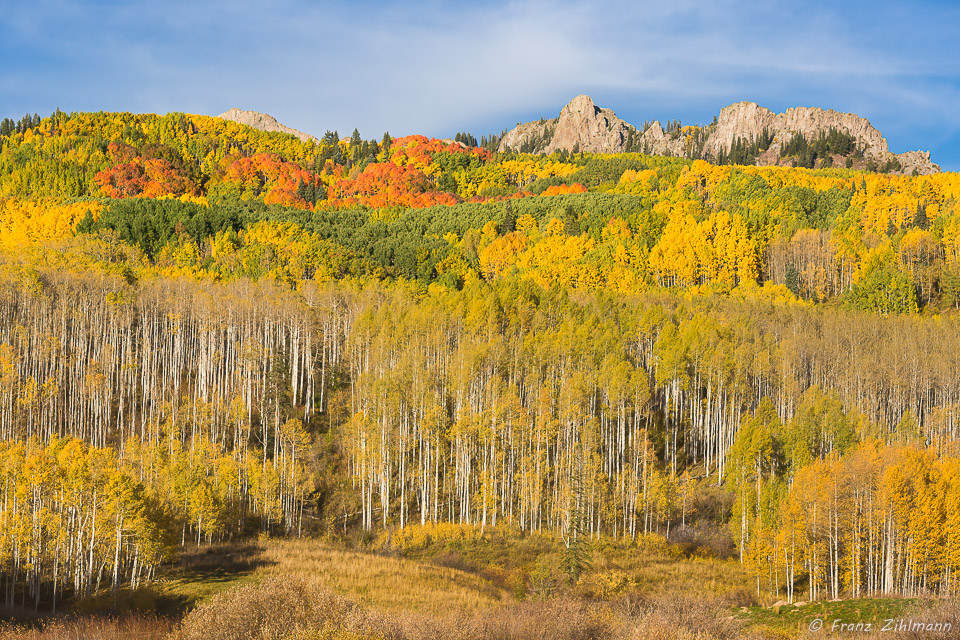 On Kebler Pass, Colorado