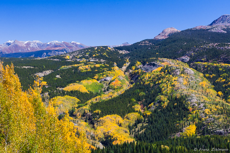 Scene on Old Lime Creek Road - Durango, CO