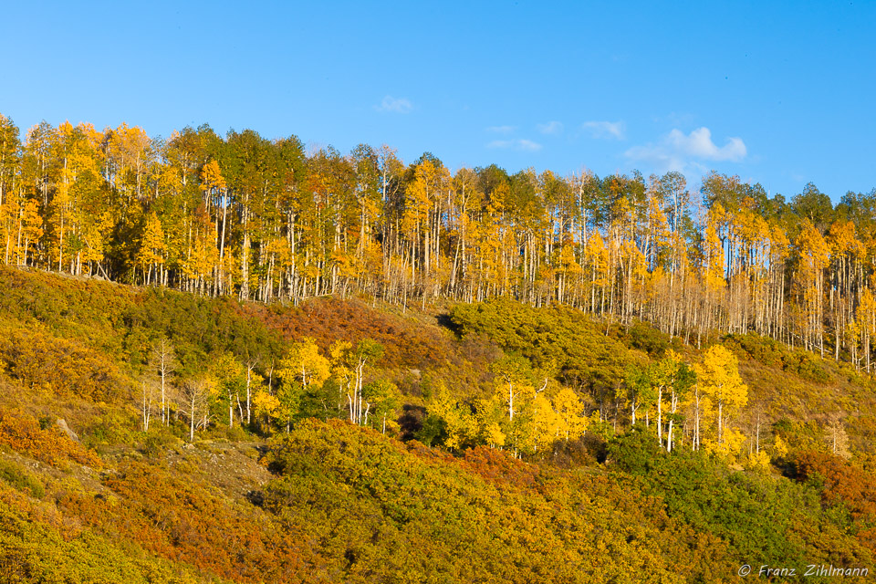 Sunset Scene near Blaine Basin – Ridgeway, CO