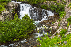 Side flow of Twin Falls - Yankee Boy Basin, CO
