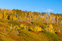 Sunset Scene near Blaine Basin – Ridgeway, CO