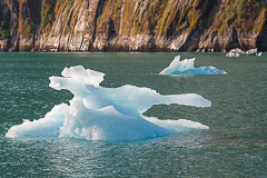 Floating Ice - Tracy Arm, AK
