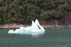 Floating Ice - Tracy Arm, AK