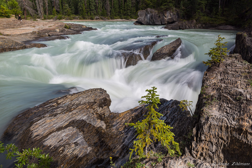 Natural Bridge - Canadian Rockies, Alberta, CA