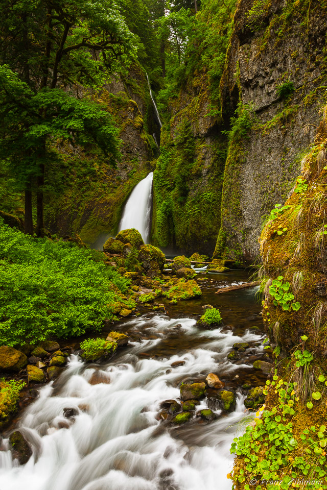 Wahclella Falls - Oregon