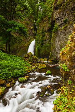 Oregon-Washington-Canadian Rockies