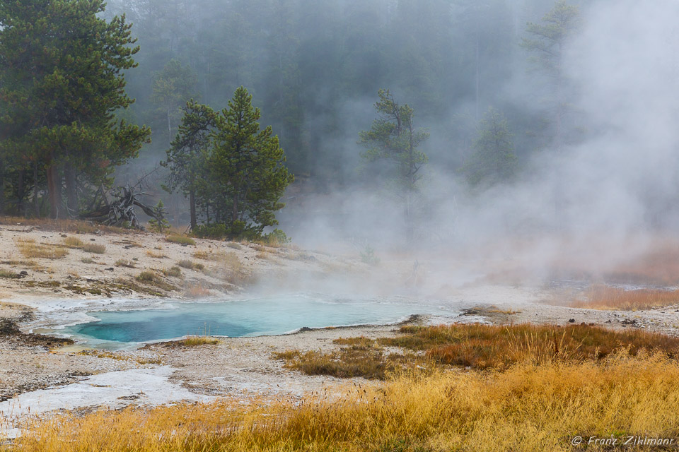 Upper Geyser Basin - Yellowstone NP