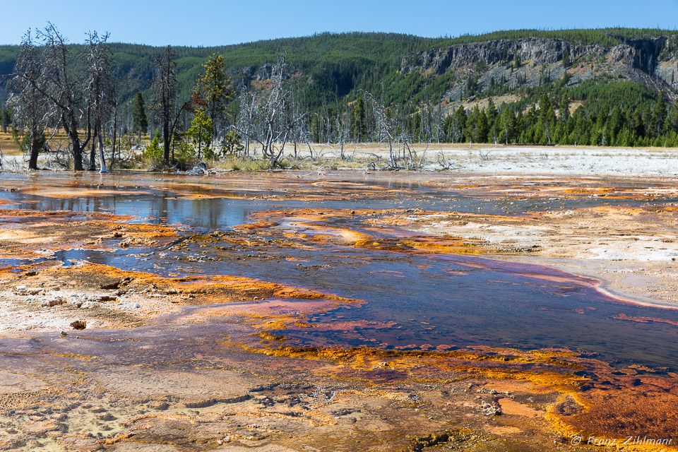 Black Sand Basin - Yellowstone NP