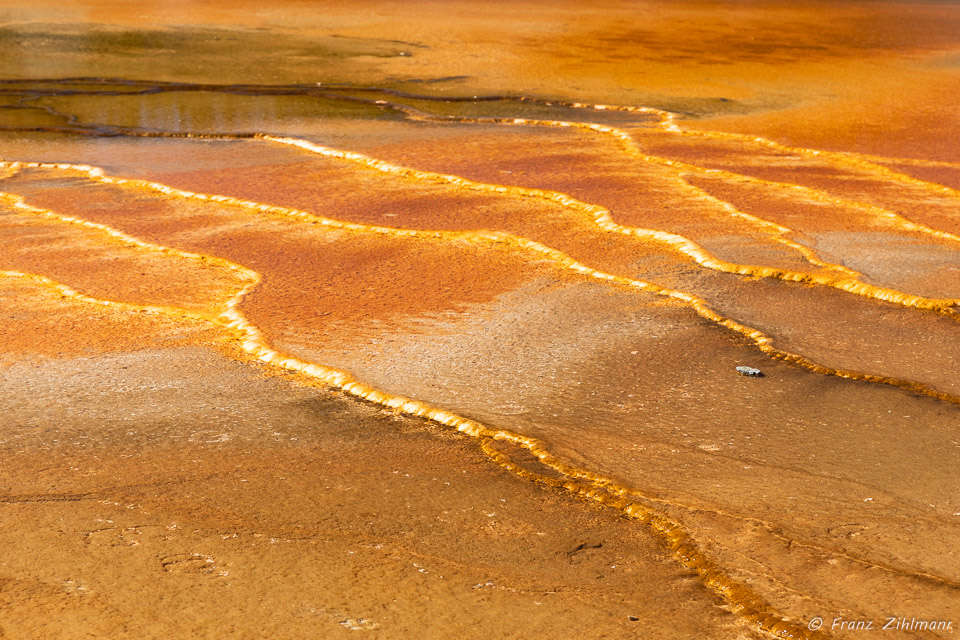 Grand Prismatic Spring - Yellowstone NP