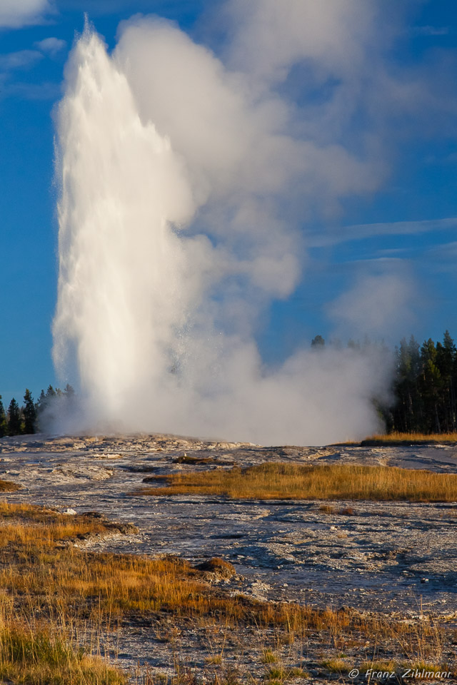 Old Faithful Geyser - Yellowstone National Park