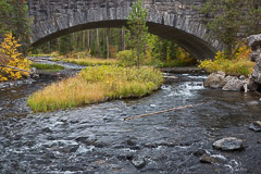 Bridge at Moose Falls - Yellowstone NP