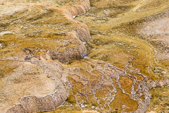 Mammoth Hotsprings Upper Terraces - Yellowstone NP