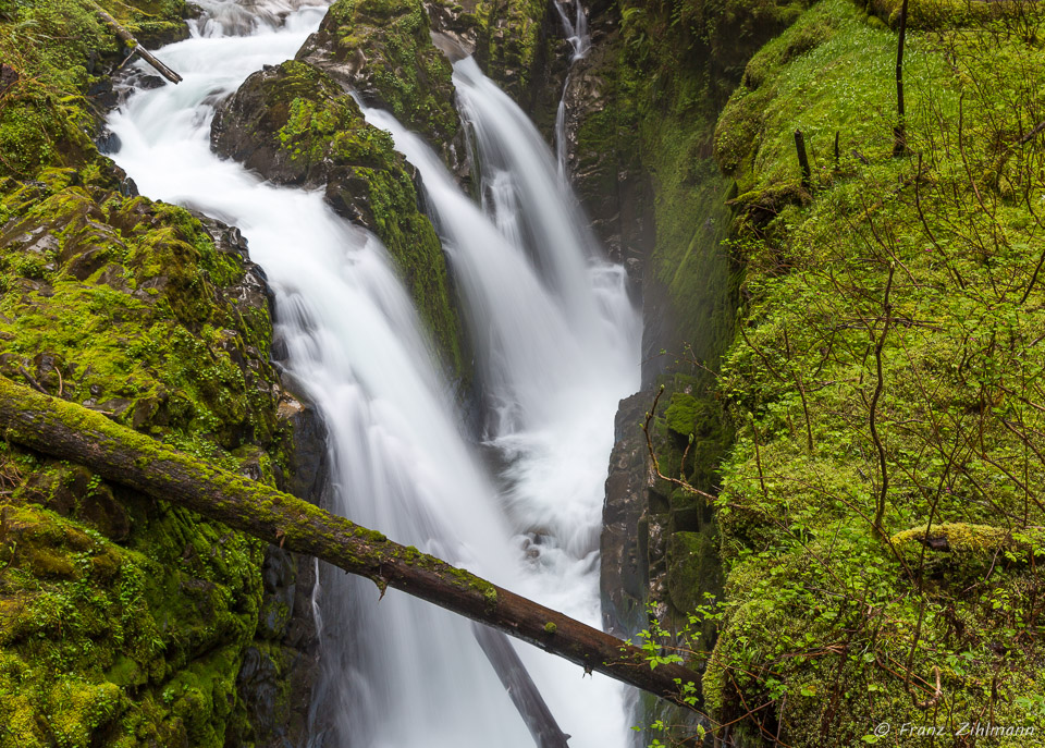 Sol Duc Falls, Olympic National Park