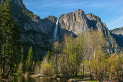 Merced River & Upper Yosemite Falls