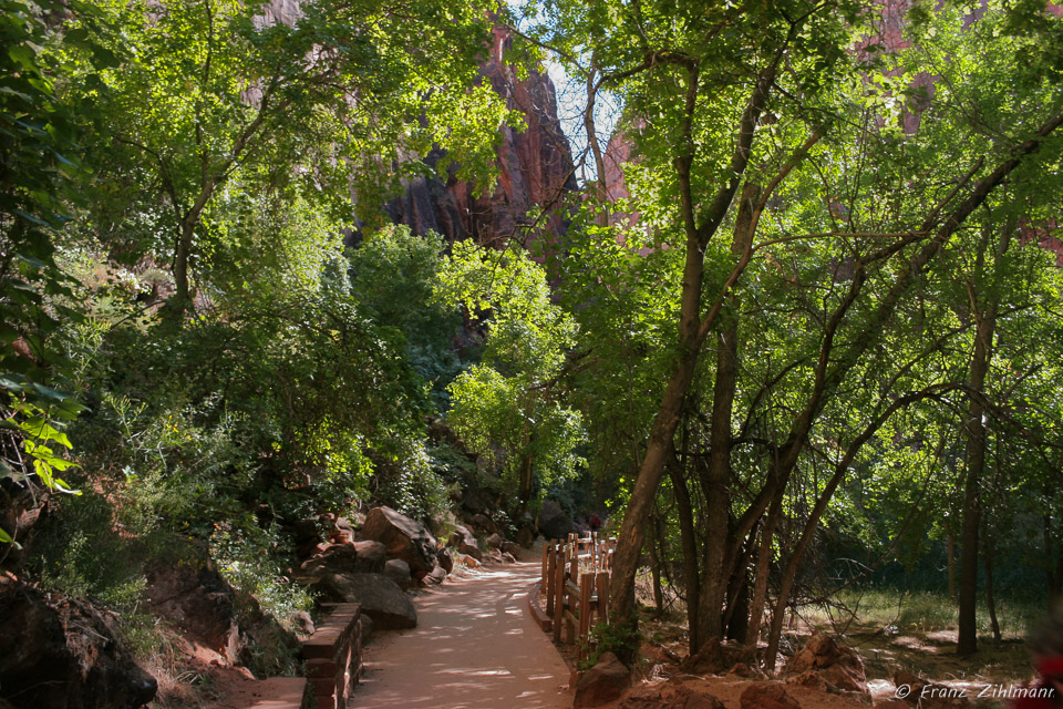 Zion National Park