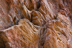 Wall pattern – Zion National Park