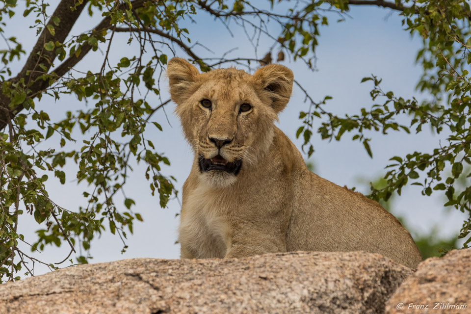 Southern Serengeti NP, Tanzania