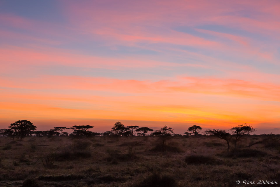 Sunrise - Namiri Plains, Serengeti NP, Tanzania