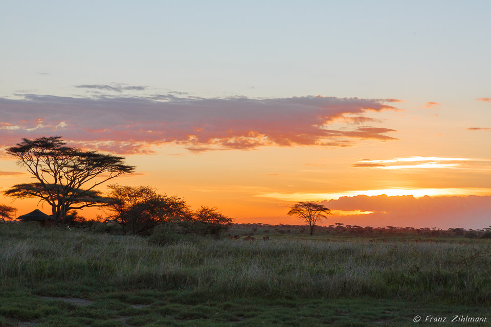 Sunset - Namiri Plains, Serengeti NP, Tanzania