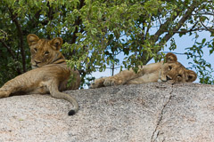 Southern Serengeti NP, Tanzania