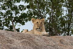 Southern Serengeti NP, Tanzania