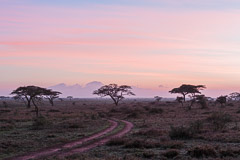Sunrise - Namiri Plains, Serengeti NP, Tanzania
