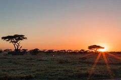Sunrise - Namiri Plains, Serengeti NP, Tanzania