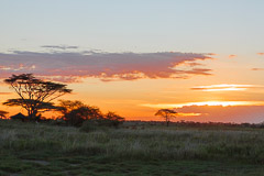 Sunset - Namiri Plains, Serengeti NP, Tanzania