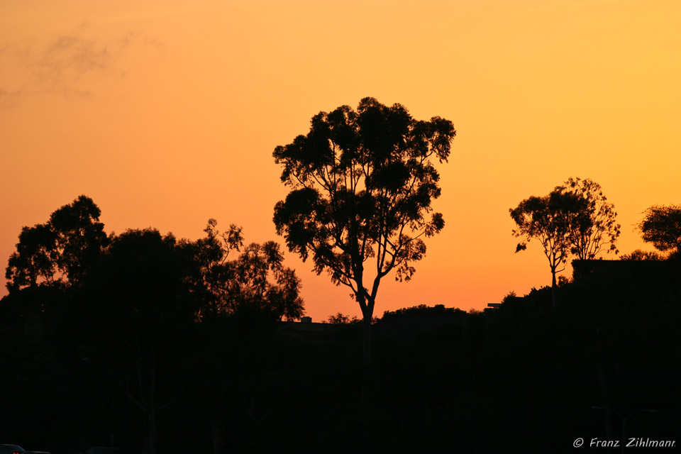 Sunset - Dana Point