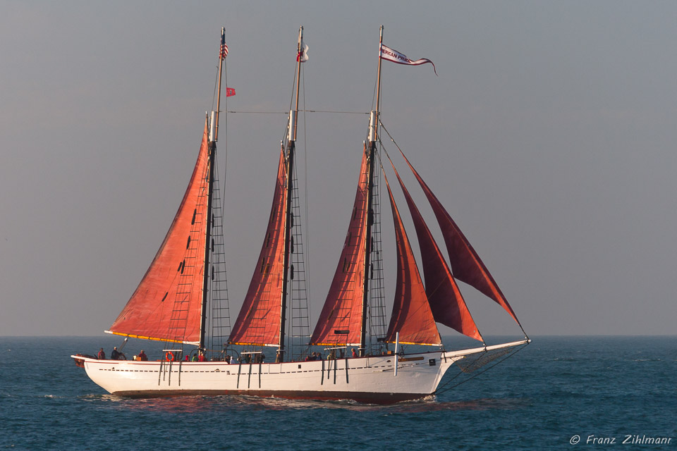 Tall Ships Festival - Dana Point, California