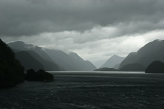 Sailing into Milford Sound, NZ